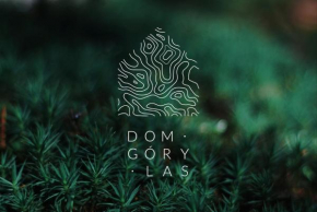 DOM GÓRY LAS - kameralny pensjonat w centrum Karpacza dla gości doros��ych od 13 roku życia, catering śniadaniowy, zapytaj o późne wymeldowanie o 18